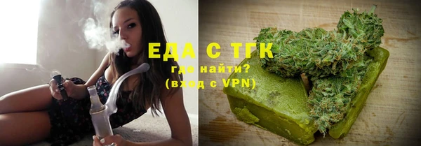 хмурый Алексин