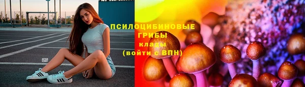 хмурый Алексин