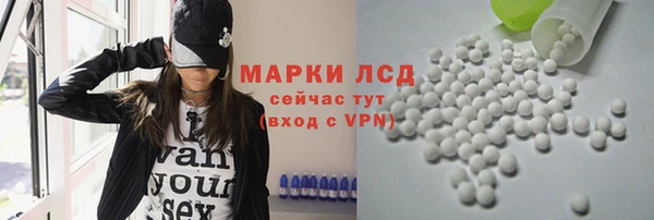 хмурый Алексин