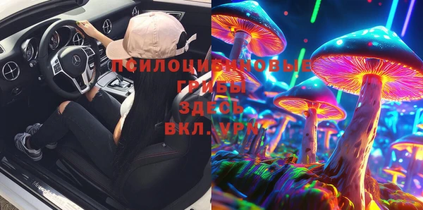 хмурый Алексин