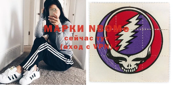 хмурый Алексин