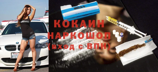 хмурый Алексин