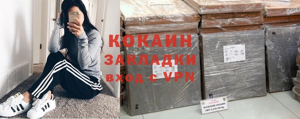 хмурый Алексин