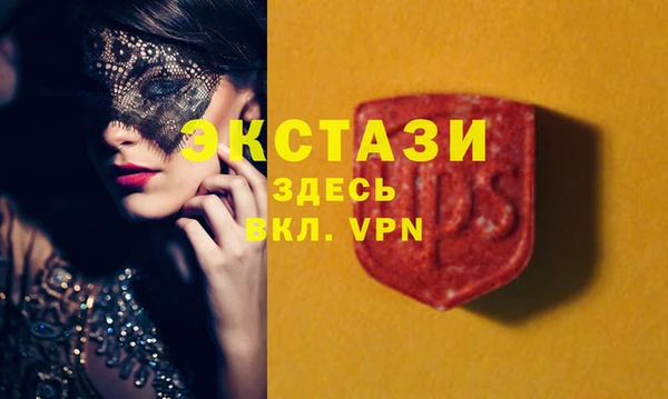 хмурый Алексин